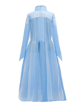 Elsa jurk met sleep Frozen 2 achterkant